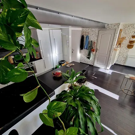 Apartmán Cosy Bayonne